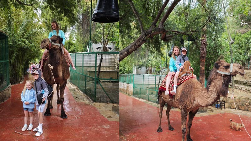 camel safari antalya