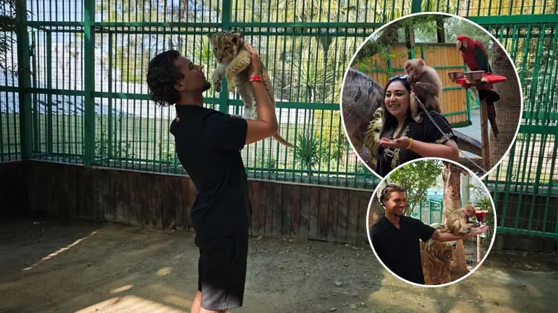 photo-with-lions-in-alanya